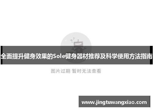 全面提升健身效果的Sole健身器材推荐及科学使用方法指南